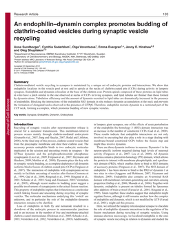 An Endophilin–Dynamin Complex Promotes Budding of Clathrin-Coated Vesicles During Synaptic Vesicle Recycling