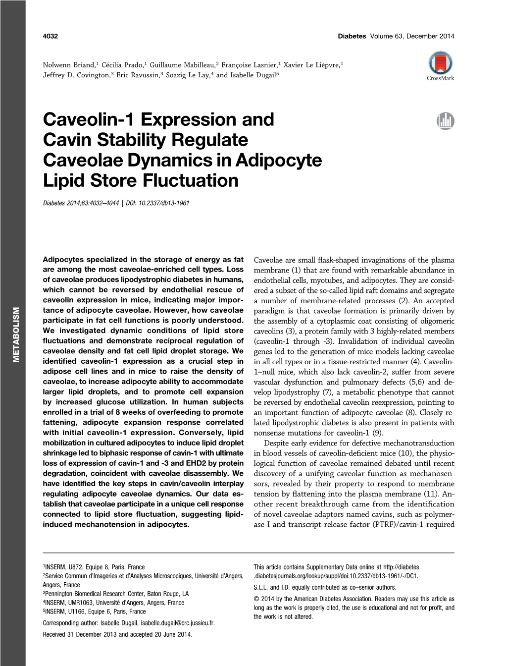 Caveolin-1 Expression and Cavin Stability Regulate Caveolae Dynamics in Adipocyte Lipid Store Fluctuation