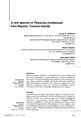 A New Species of Polyscias (Araliaceae) from Mayotte, Comoro Islands