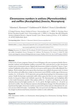 Chromosome Numbers in Antlions (Myrmeleontidae) and Owlflies