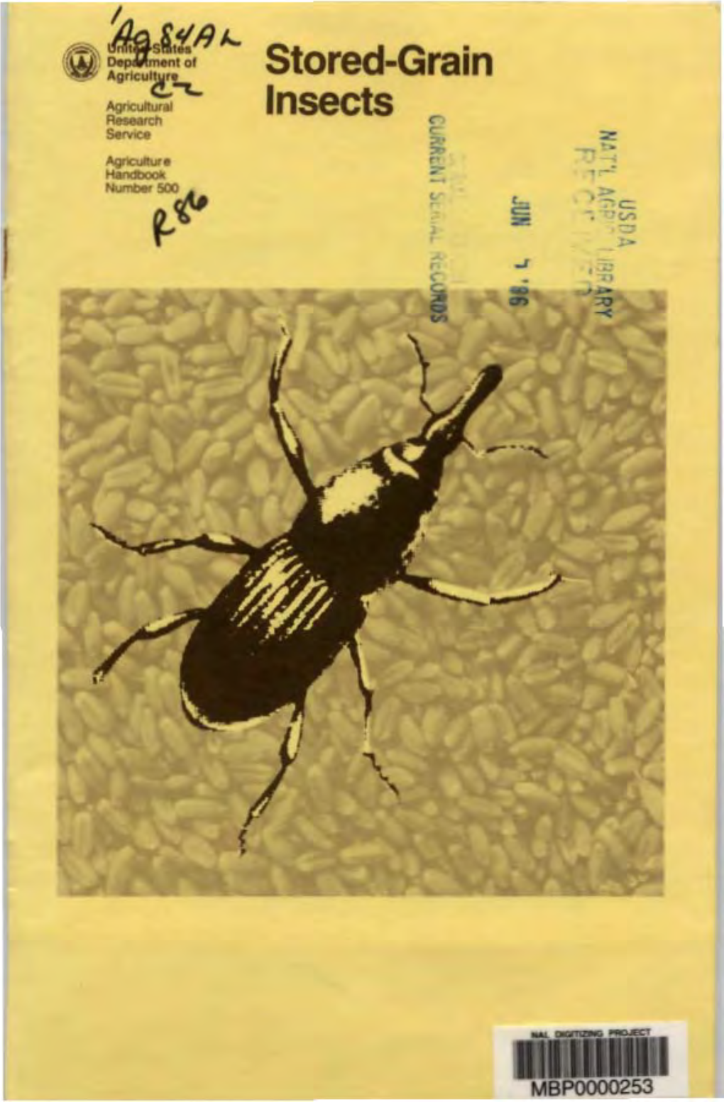 Stored-Grain Insects