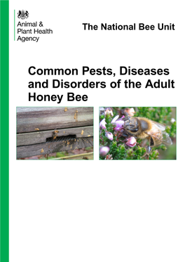 Common Pests, Diseases and Disorders of the Adult Honey Bee Ii Pollination