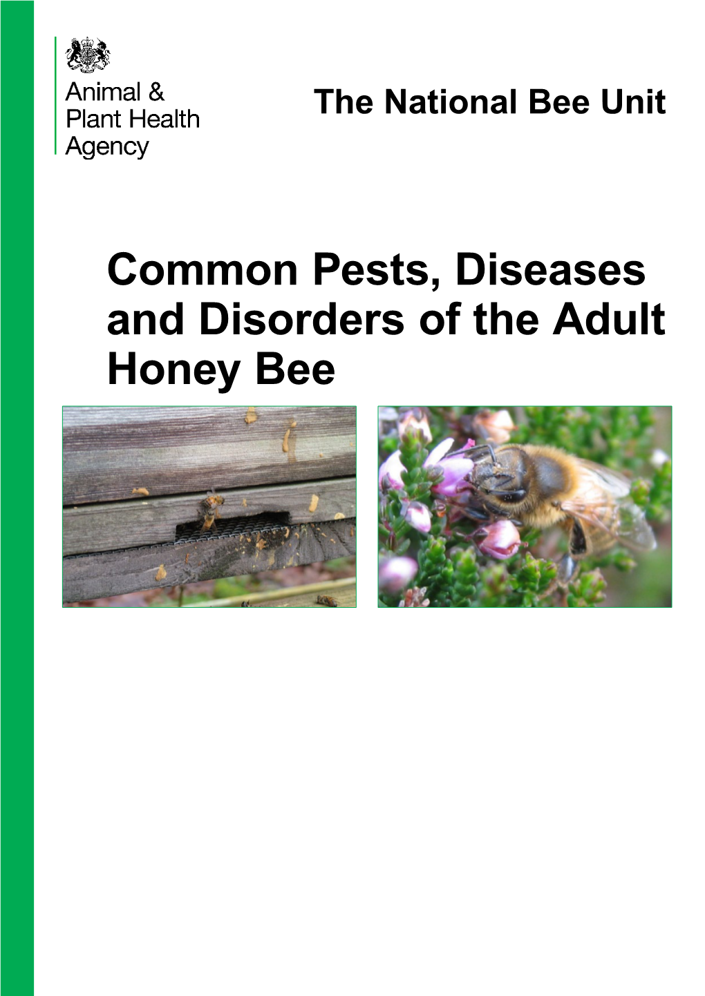 Common Pests Diseases And Disorders Of The Adult Honey Bee Ii