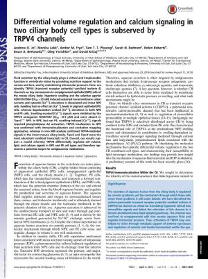 Differential Volume Regulation and Calcium Signaling in Two Ciliary Body Cell Types Is Subserved by TRPV4 Channels