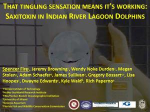 Saxitoxin in Indian River Lagoon Dolphins
