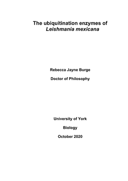 The Ubiquitination Enzymes of Leishmania Mexicana