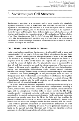 3 Saccharomyces Cell Structure