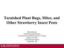 Tarnished Plant Bugs, Mites, and Other Strawberry Insect Pests