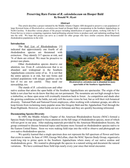 Preserving Rare Forms of R. Calendulaceum on Hooper Bald by Donald W