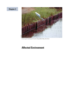 Affected Environment Summary