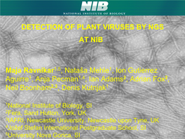 Detection of Plant Viruses by Ngs at Nib