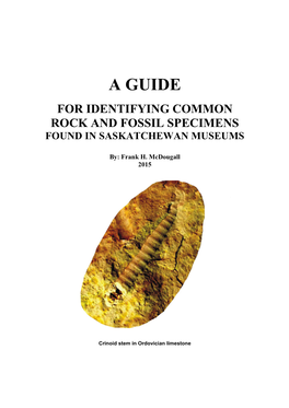 A Guide for Identifying Common Rock and Fossil Specimens Found in Saskatchewan Museums