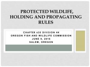 Protected Wildlife, Holding and Propagating Rules