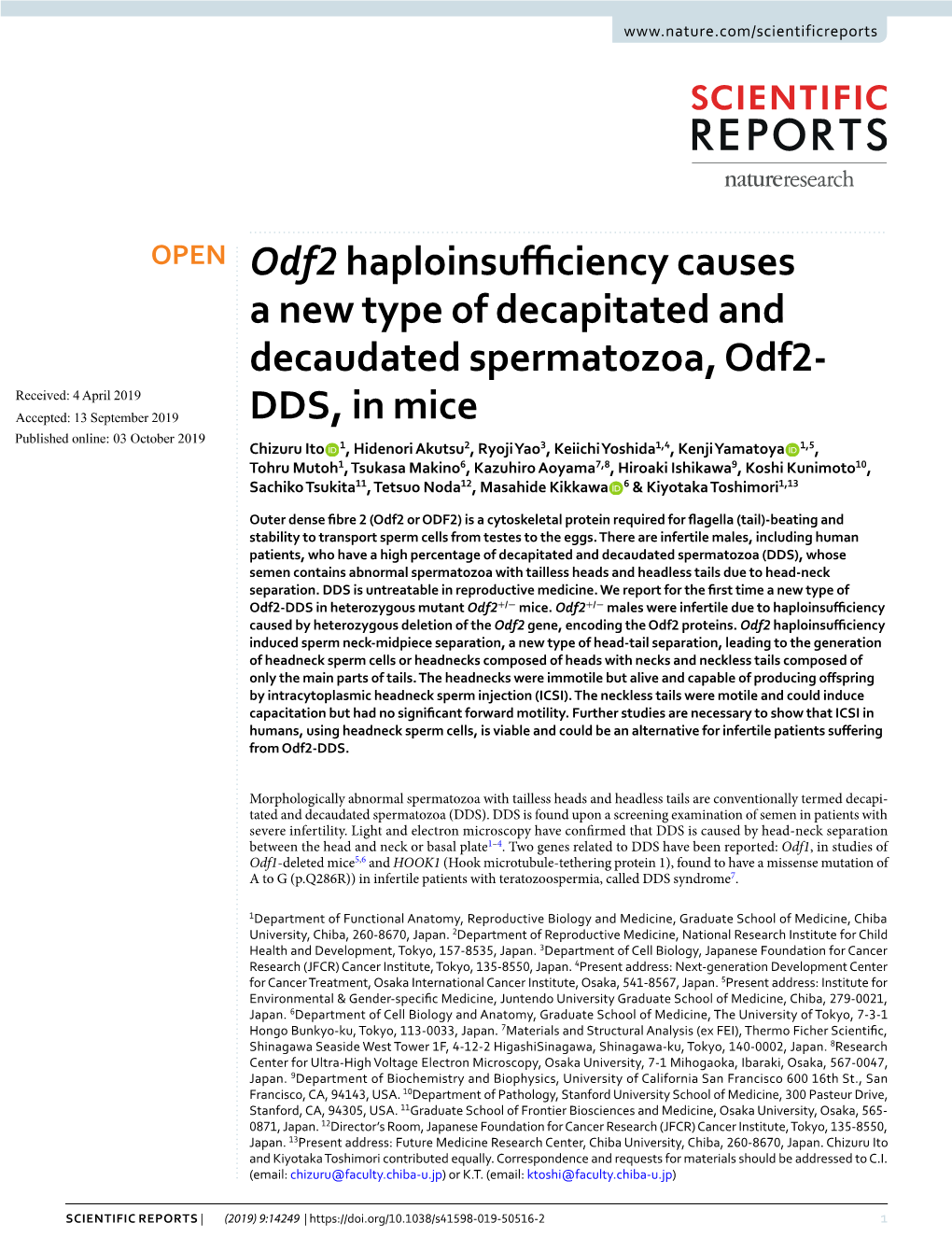 Odf2 Haploinsufficiency Causes a New Type of Decapitated and Decaudated Spermatozoa, Odf2-DDS, in Mice