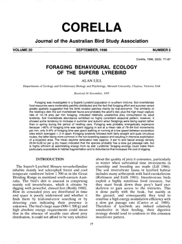 Foraging Behavioural Ecology of the Superb Lyrebird