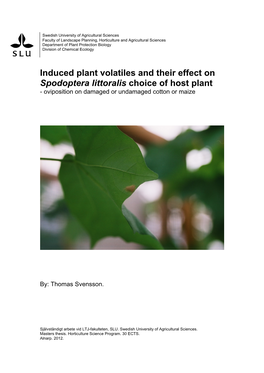 Induced Plant Volatiles and Their Effect on Spodoptera Littoralis Choice of Host Plant - Oviposition on Damaged Or Undamaged Cotton Or Maize