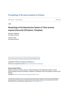 Morphology of the Reproductive System of Tetrix Arenosa Angusta (Hancock) (Orthoptera, Tetrigidae)