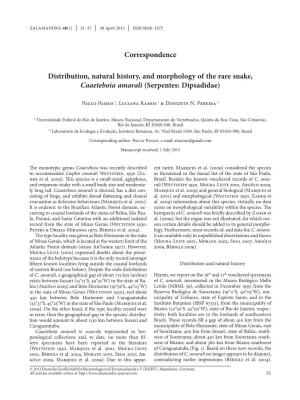 Distribution, Natural History, and Morphology of the Rare Snake, Caaeteboia Amarali (Serpentes: Dipsadidae)