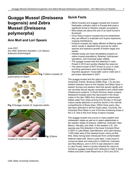 Quagga Mussel (Dreissena Bugensis) and Zebra Mussel (Dreissena Polymorpha) - Ann Mull and Lori Spears 1