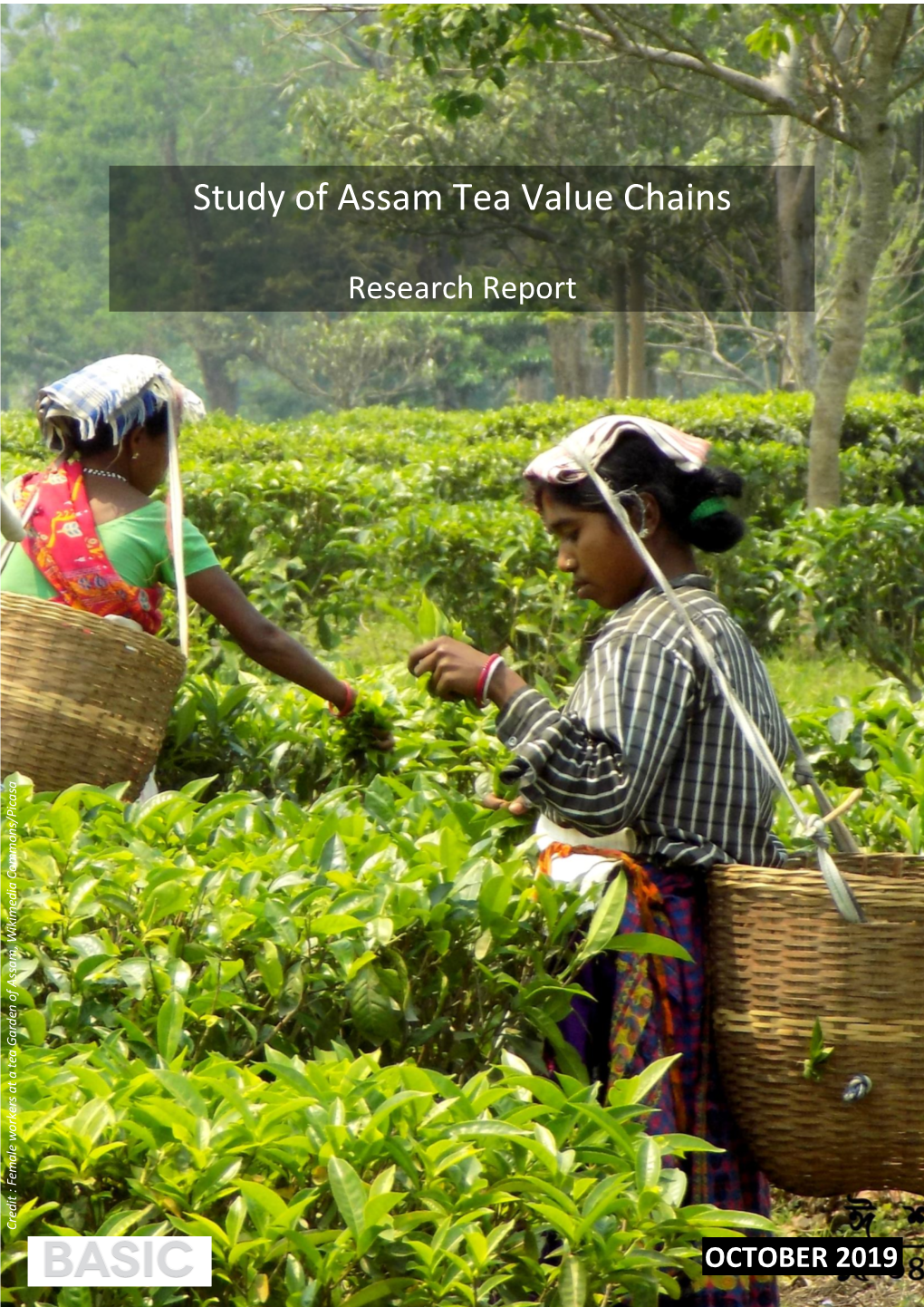 Study of Assam Tea Value Chains