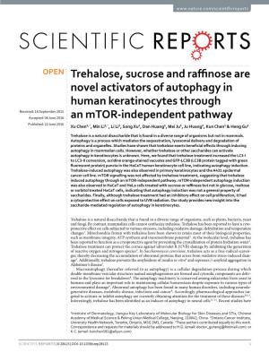 Trehalose, Sucrose and Raffinose Are Novel Activators of Autophagy In