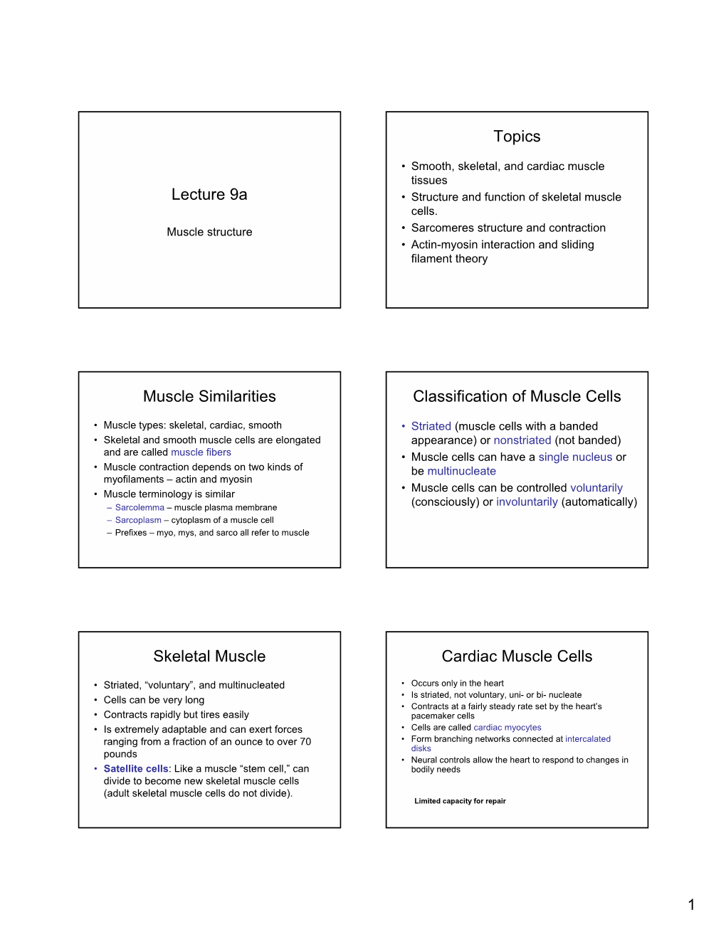 Classification of Muscle Cells