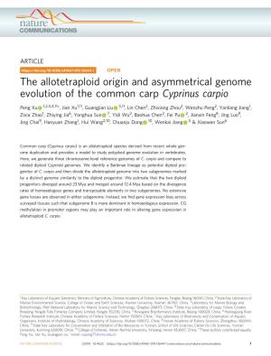 The Allotetraploid Origin and Asymmetrical Genome Evolution of the Common Carp Cyprinus Carpio