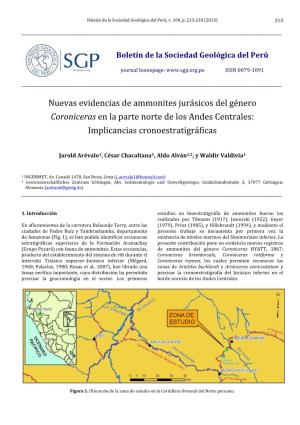 Nuevas Evidencias De Ammonites Jurásicos Del Género Coroniceras En La Parte Norte De Los Andes Centrales: Implicancias Cronoestratigráficas
