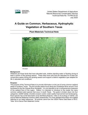 A Guide on Common, Herbaceous, Hydrophytic Vegetation of Southern Texas
