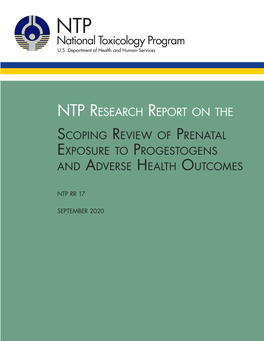 RR-17: Scoping Review of Prenatal