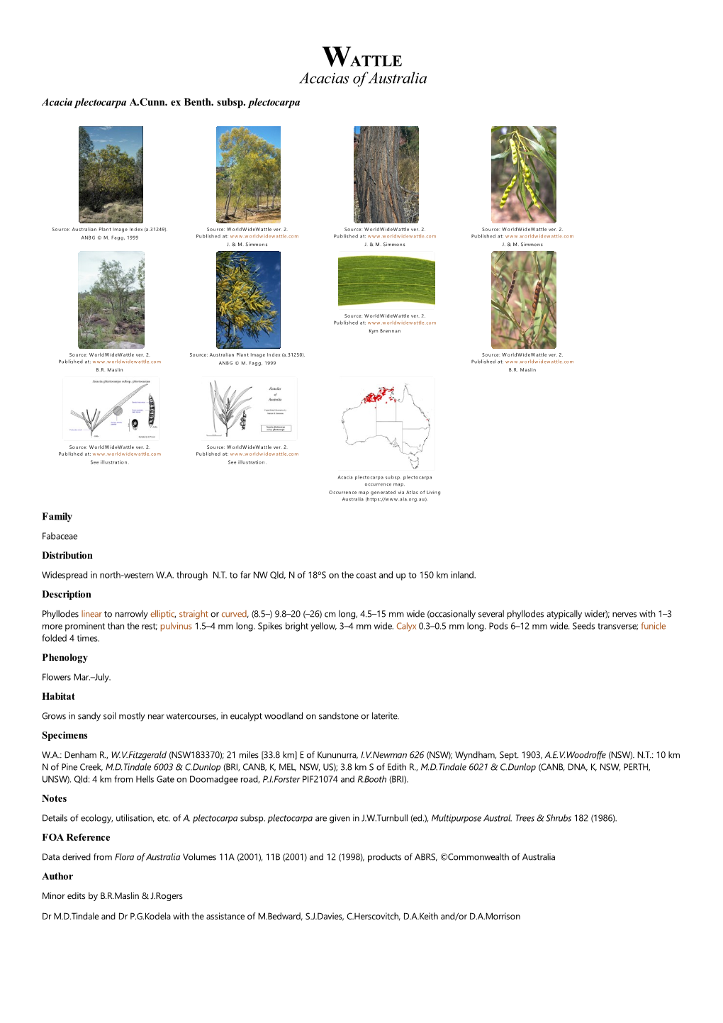 Acacia Plectocarpa Subsp. Plectocarpa Occurrence Map