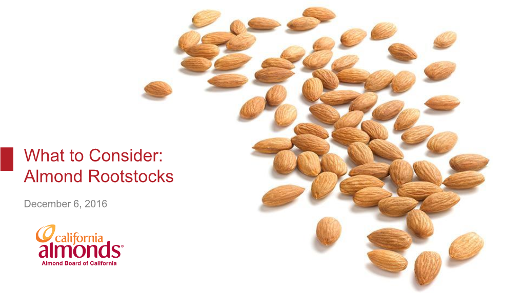 Almond Rootstocks