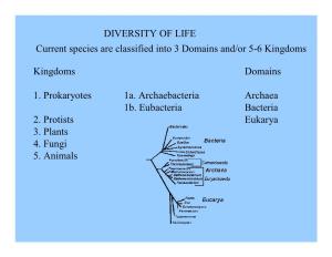 Kingdoms Domains 1. Prokaryotes 1A. Archaebacteria Archaea 1B