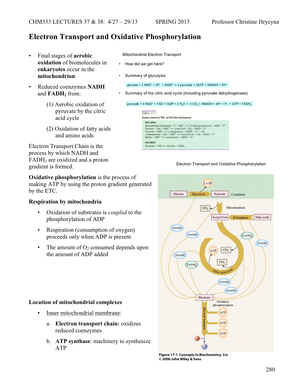 Lecture 37 & 38: Electron Transport Chain and Oxidative Phosphorylation