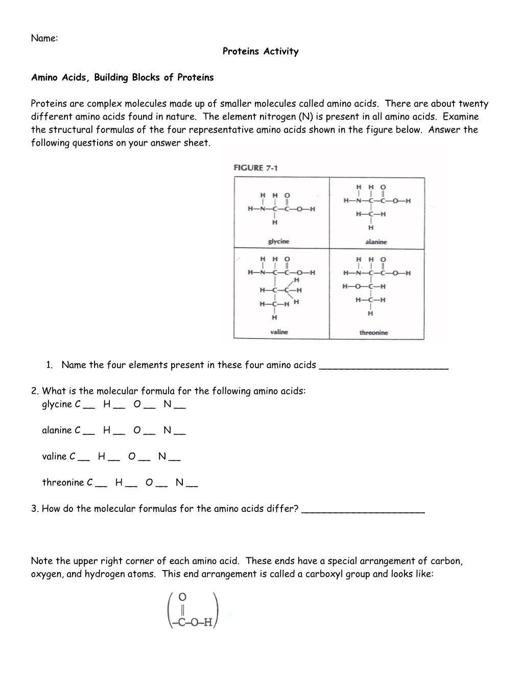 Name: Proteins Activity Amino Acids, Building Blocks of Proteins Proteins