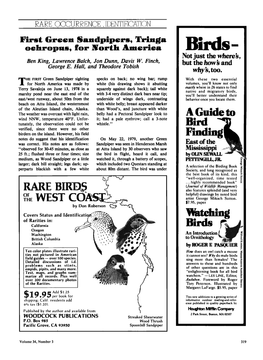 First Green Sandpipers, Tringa Ochropus, for North America Birds - Notjust the Where Ben King, Lawrence Balch, Jon Dunn, Davis W