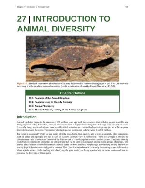 27 | Introduction to Animal Diversity 719 27 | INTRODUCTION to ANIMAL DIVERSITY