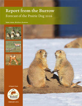 Forecast of the Prairie Dog 2016