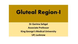 Gluteal Region-I