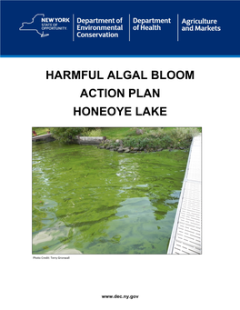 Harmful Algal Bloom Action Plan Honeoye Lake