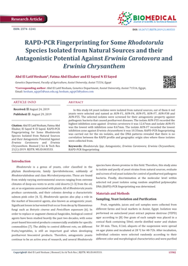 RAPD-PCR Fingerprinting for Some Rhodotorula Species Isolated from Natural Sources and Their Antagonistic Potential Against Erwinia Carotovora and Erwinia Chrysanthem