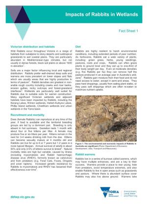 Impacts of Rabbits in Wetlands