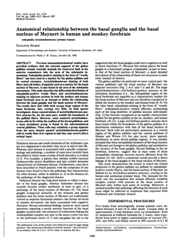 Anatomical Relationship Between the Basal Ganglia and the Basal