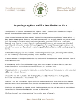 Maple Sugaring Hints and Tips from the Nature Place