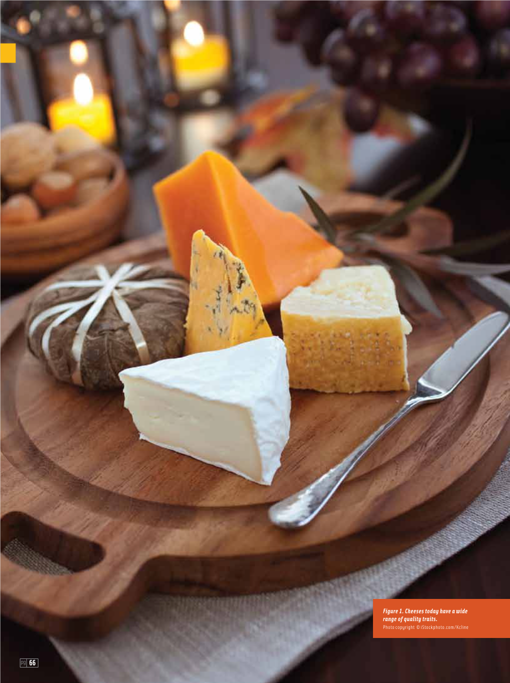 Figure 1. Cheeses Today Have a Wide Range of Quality Traits. Photo Copyright © Istockphoto.Com/Kcline