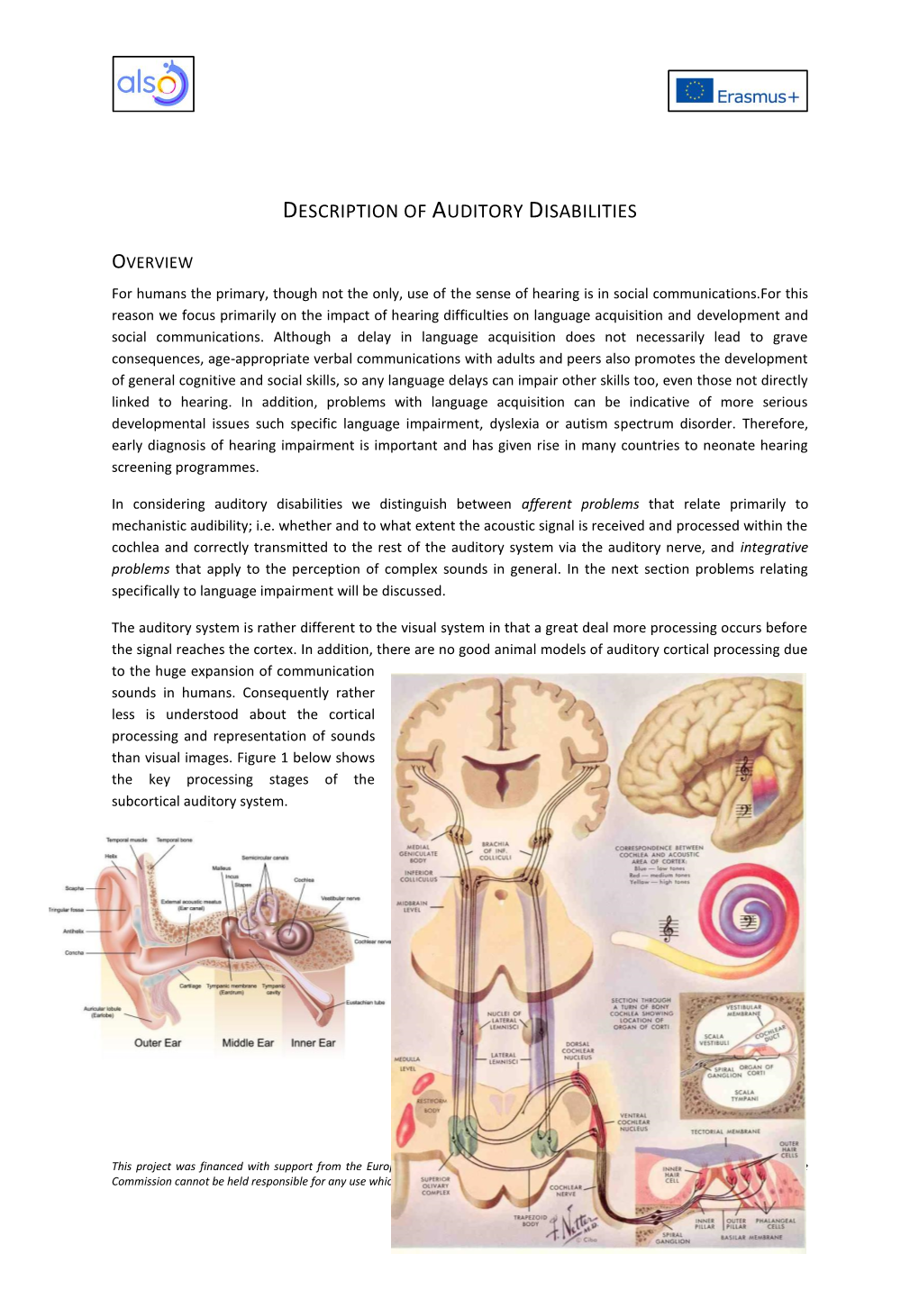 Auditory Disabilities