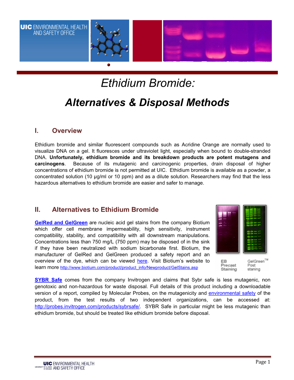 Ethidium Bromide: Alternatives & Disposal Methods