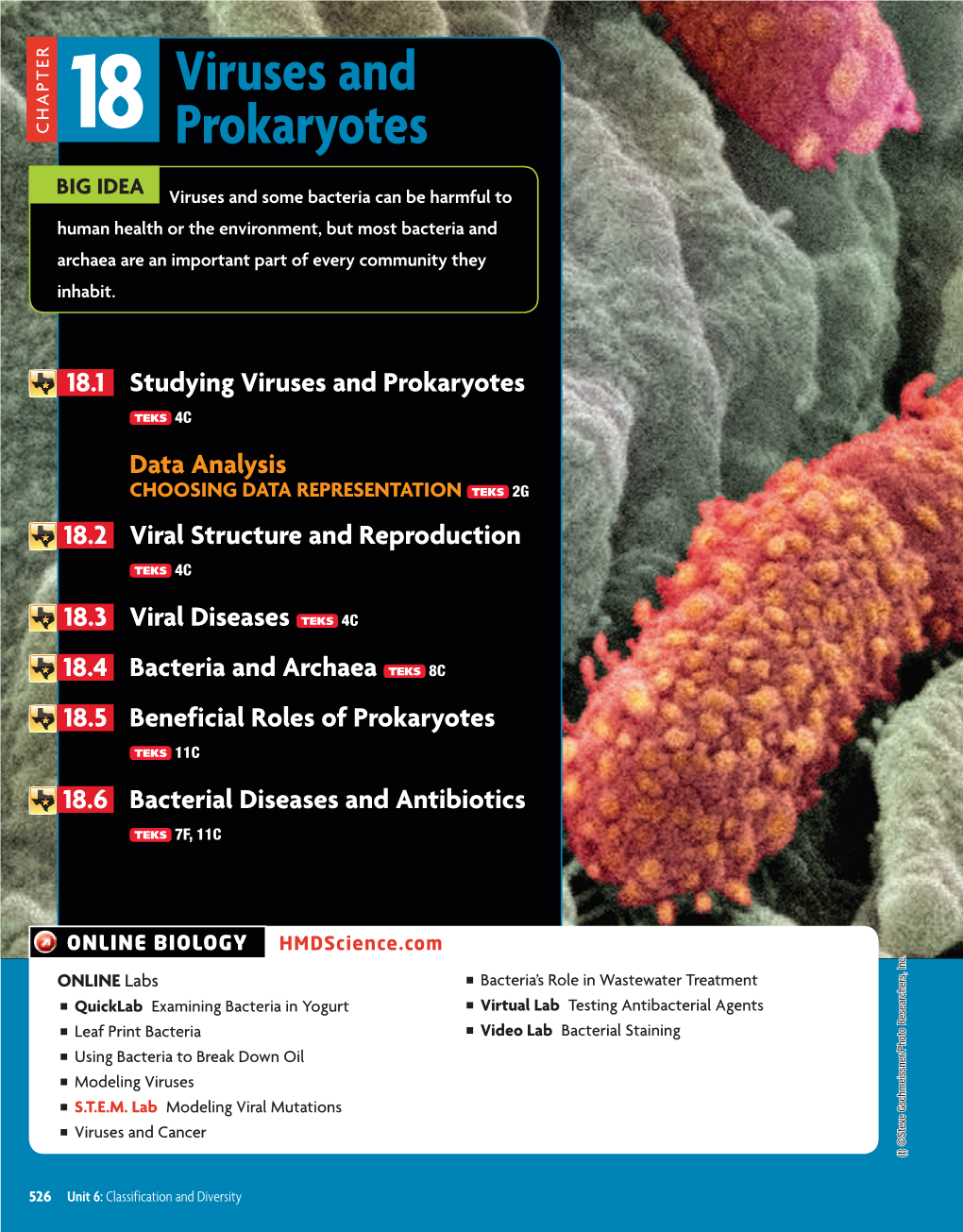 Viruses and Prokaryotes