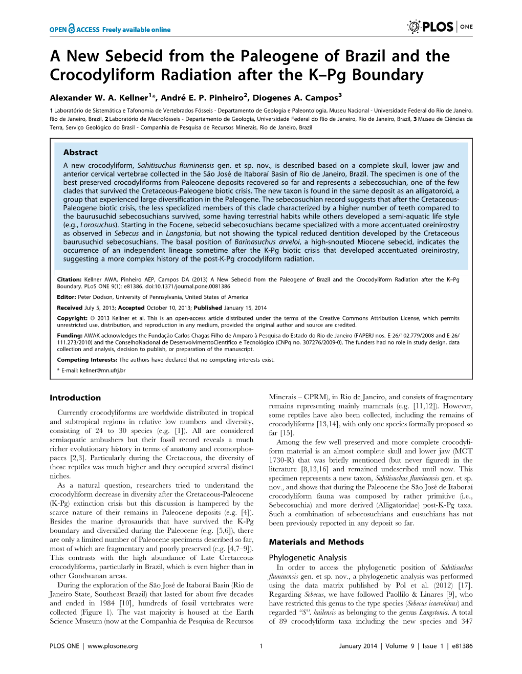 A New Sebecid from the Paleogene of Brazil and the Crocodyliform Radiation After the K–Pg Boundary