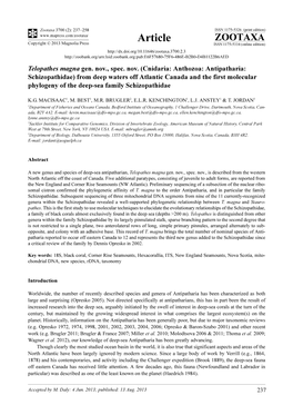 Cnidaria: Anthozoa: Antipatharia: Schizopathidae) from Deep Waters Off Atlantic Canada and the First Molecular Phylogeny of the Deep-Sea Family Schizopathidae